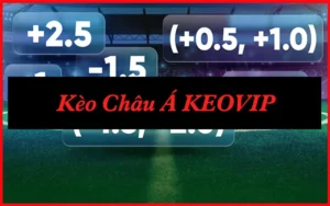 Kèo Châu Á: 5 Mức Tỷ Lệ Phổ Biến Nhất Hiện Nay